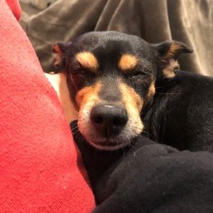 Meet your Posher, John